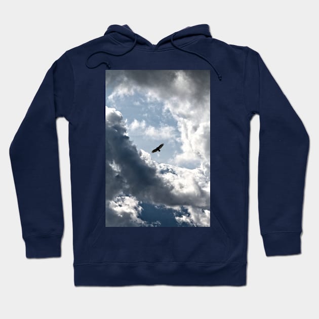 In the Clouds Hoodie by photoclique